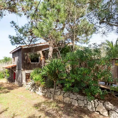 La De Bébert - Marie En Lys Lège-Cap-Ferret